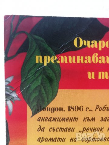 С дъх на кафе- Очарователна история,преминаваща през две десетилетия и три континента -Антъни Капела, снимка 3 - Художествена литература - 31282360