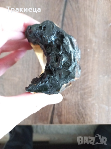 ПРЕПАРИРАН КРОКОДИЛ ГЛАВА, снимка 3 - Антикварни и старинни предмети - 44699078