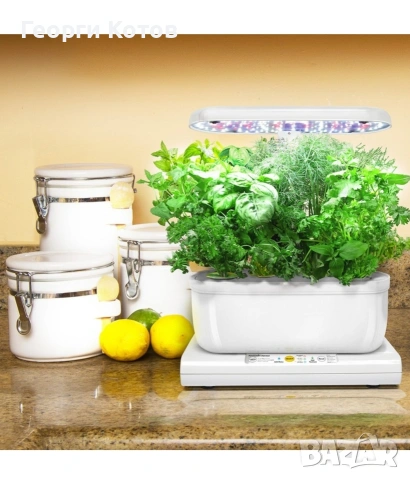 Домашна градина отглеждане на билки AeroGarden, снимка 3 - Оранжерии - 53066105