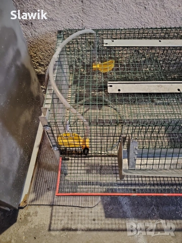 Клетки за пътпъдъци, снимка 2 - За птици - 54323967