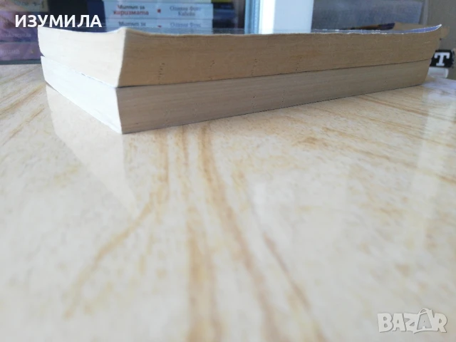 Не без дъщеря ми / От любов към дъщеря ми  - Бети Махмуди, снимка 3 - Художествена литература - 40169280