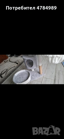 Продавам катерушка за котка