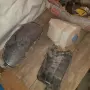 Киа Рио-останли части, снимка 5