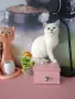 Британски момичета и момчета, снимка 5