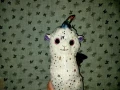 Плюшена играчка Лама , снимка 2