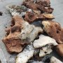 Естествен камък за вашия дом, аквариум и алпинеум, снимка 12