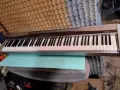 Електронно пиано Casio Privia PX-100, снимка 1
