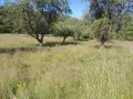 Имот в централната част на гр. Априлци, снимка 5
