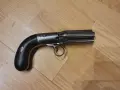 Капсулна пиперница, снимка 2