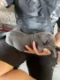 кученца Кане корсо, снимка 5