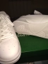 Lacoste оригинални.Супер качество и стил , снимка 5