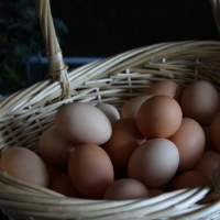 Домашни Яйца 15лв кора, снимка 2 - други­ - 36397255