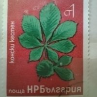 Български пощенски марки с растения, снимка 3 - Филателия - 40755450