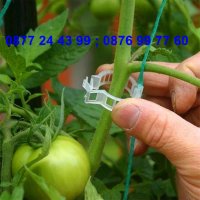 50 броя щипка - клипс за подържане на домати и растения - КОД 3691, снимка 8 - Други - 36674902