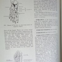 Black's medical dictionary, снимка 6 - Специализирана литература - 29883762