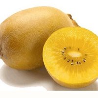 Едро Златно киви Сорели - Голд киви(Gold kiwi - Soreli), снимка 1 - Градински цветя и растения - 42359564