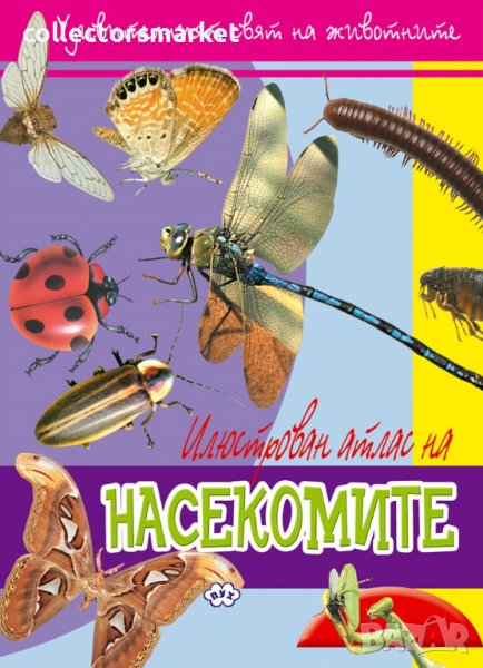 Удивителният свят на животните: Насекомите, снимка 1