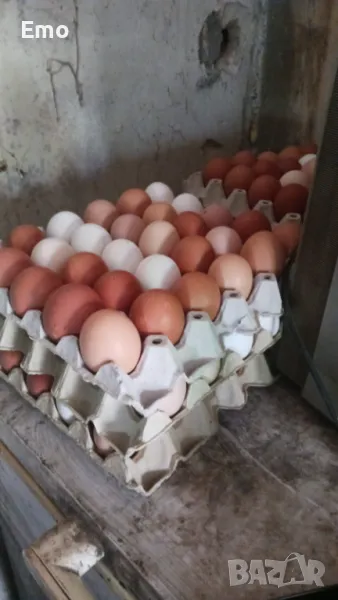 домашни яйца, снимка 1