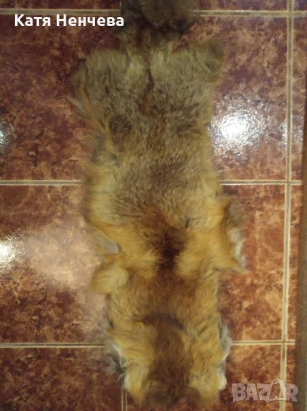 лисича кожа, снимка 1
