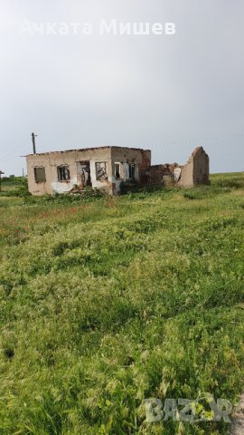 Разрушена къща и обор в село Горна Митрополия, снимка 3 - Къщи - 29099821