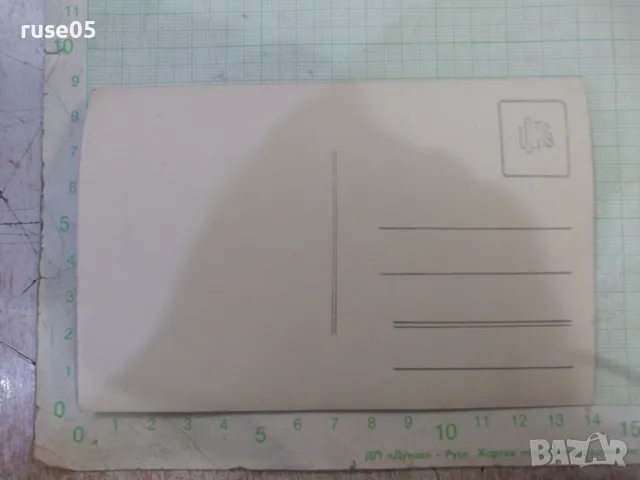 Снимка стара на дама пред цвете - 1, снимка 2 - Колекции - 48003566