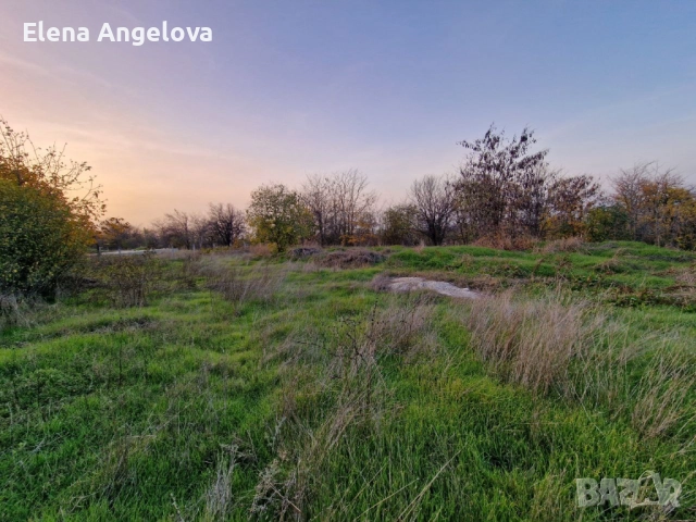 Два парцела в с. Чешнегирово, УПИ 1085 кв, УПИ 2036 кв, снимка 3 - Парцели - 52515241