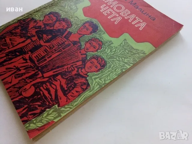 Симовата чета - Калина Малина - 1973г., снимка 7 - Детски книжки - 50222741