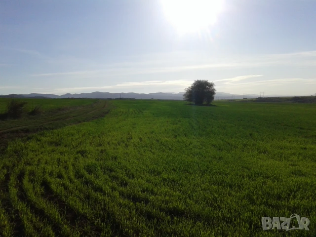 Парцел в гр. София, с. Доброславци намира се на земеделски път с лесен достъп. ПИ , снимка 8 - Парцели - 51400498