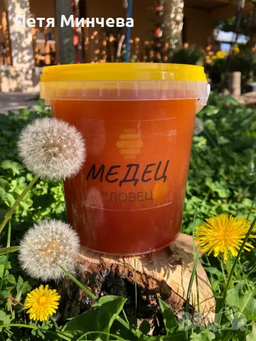 Мед от производител-гарантирано качество, снимка 3 - Пчелни продукти - 48087487