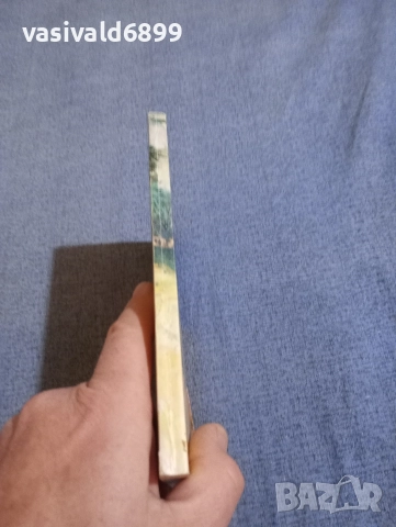 Ради Царев - Бързоноги другари , снимка 2 - Българска литература - 52952802