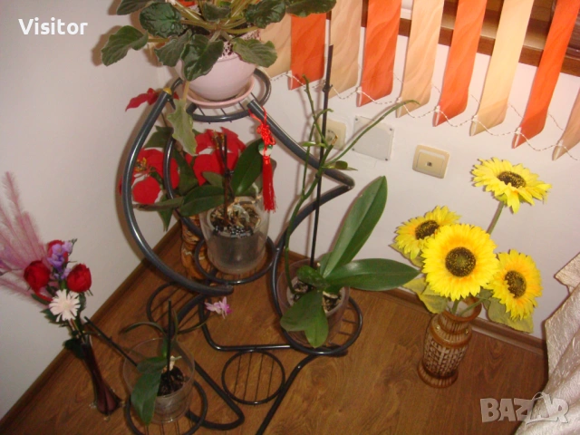 Sony Cyber-shot DSC-T200 , снимка 12 - Фотоапарати - 53957143