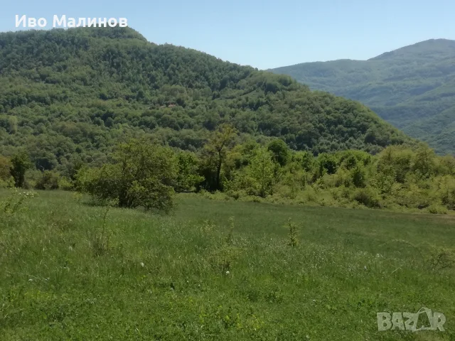 продавам два имота в село Лакатник , снимка 15 - Земеделска земя - 55769447