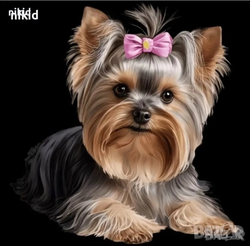  5D гоблен Йоркширски териер Йорки диамантен гоблен картина мозайка за направа по схема с камъчета