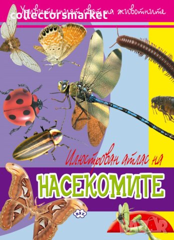 Удивителният свят на животните: Насекомите