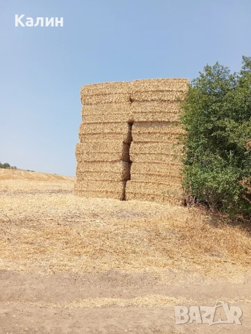 продавам Бали сено цена 8 лв.,бали слама,рола царевичак, снимка 8 - Други - 43155951