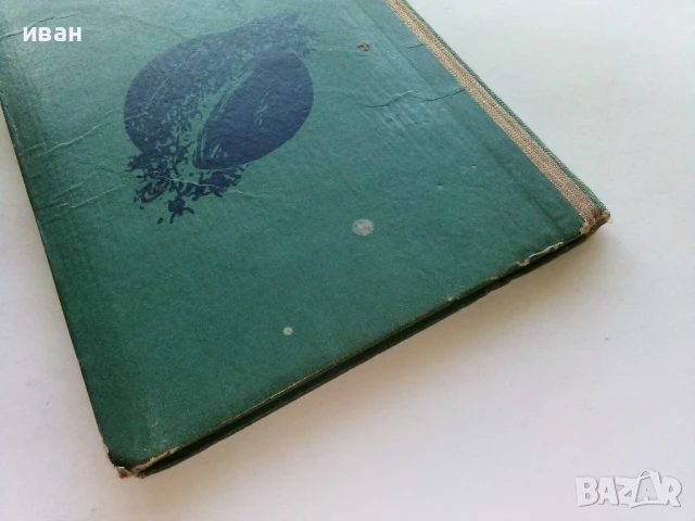 Над бездната / Хойти Тойти - Александър Беляев - 1962г., снимка 7 - Художествена литература - 51008654