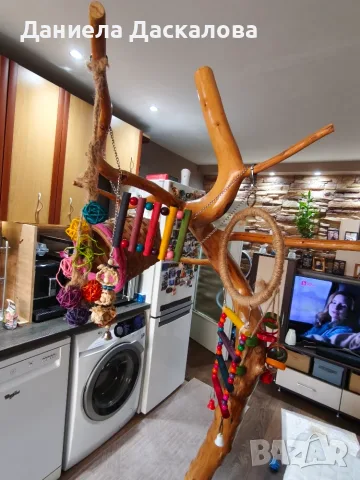 Продавам ръчно правена кацалка., снимка 4 - За птици - 56005695
