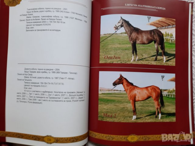 Ахалтекинецът - наша гордост и слава - Гурбангули Бердимухамедов, снимка 6 - Специализирана литература - 31804324