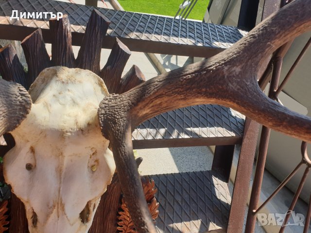 Трофей от голям благороден елен с поставка от дъб–ръчна дърворезба., снимка 14 - Антикварни и старинни предмети - 34194135