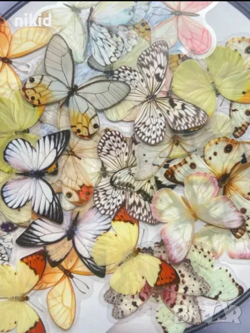 20 бр различни пеперуди самозалепващи лепенки стикери декор ръчна изработка украса лепенка, снимка 8 - Други - 49092715