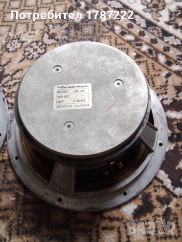 Говорители 10 инча., снимка 3 - Тонколони - 52974357