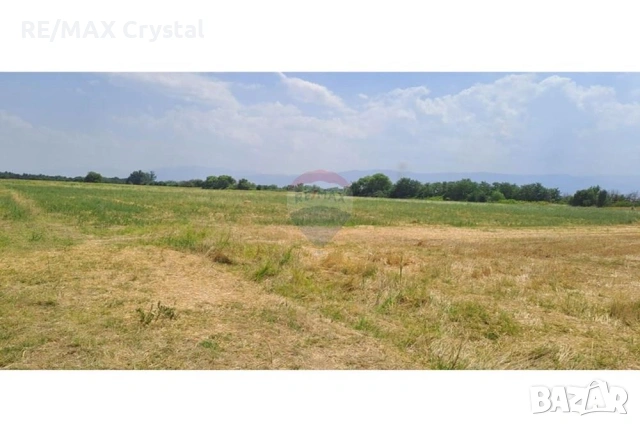 Инвестиционна Възможност: Огромен Парцел за Ниско Застрояване в с. Войводиново!, снимка 5 - Парцели - 53168855