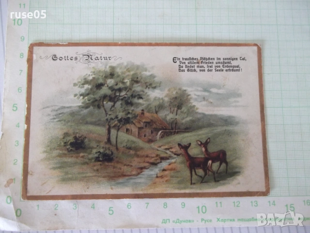 Картичка "Gottes Natur" цветна стара