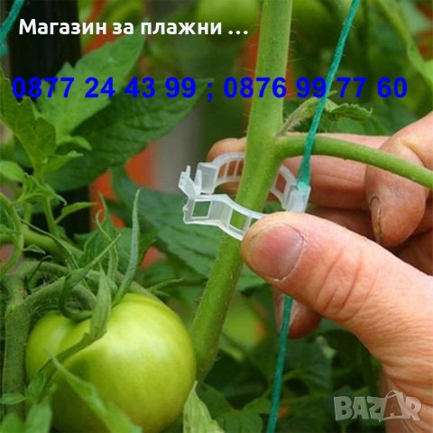 к-т 50 бройки щипка - клипс за подържане на домати и растения - КОД 3691, снимка 8 - Разсади - 36674946