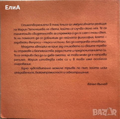 Парапсихология На Прозвището - Мария Пепеляшева - Пепел, снимка 2 - Художествена литература - 50930753