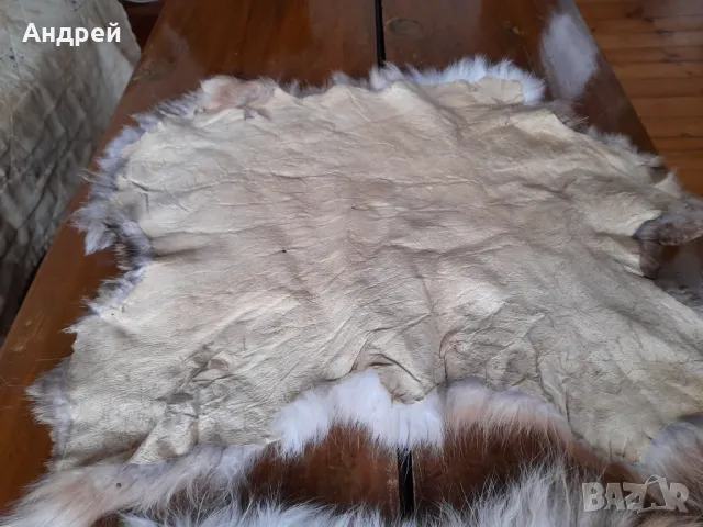 Заешка кожа,кожи, снимка 6 - Други ценни предмети - 47259481