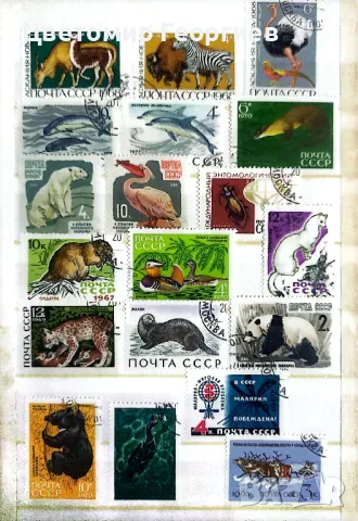 Класьор с марки 365 бр , снимка 9 - Филателия - 48119052