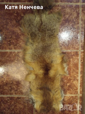 лисича кожа
