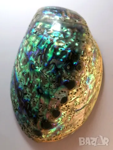 Mother of Pearl, Седеф, снимка 4 - Декорация за дома - 48496774