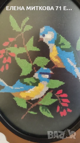 2 гобленчета с птиченца -в дървена рамка и антирефлексно стъкло, снимка 3 - Гоблени - 50529768